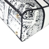 Dior Lady D-Lite Medium