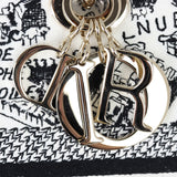 Dior Lady D-Lite Medium