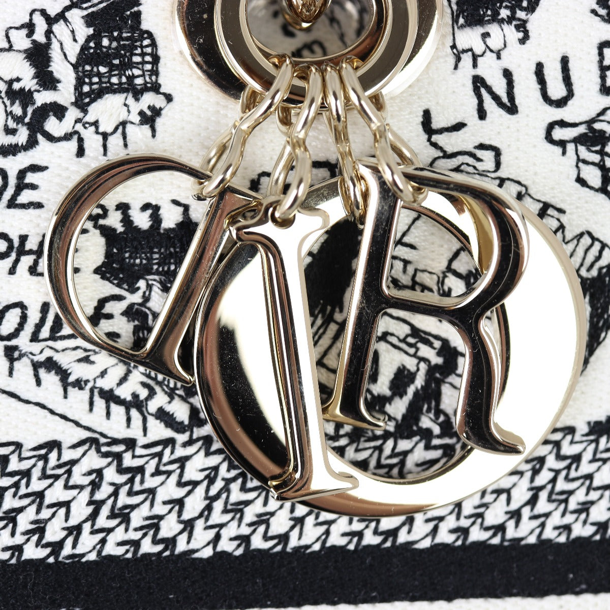 Dior Lady D-Lite Medium