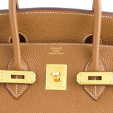 Hermes Birkin Togo 35 Hardware 2