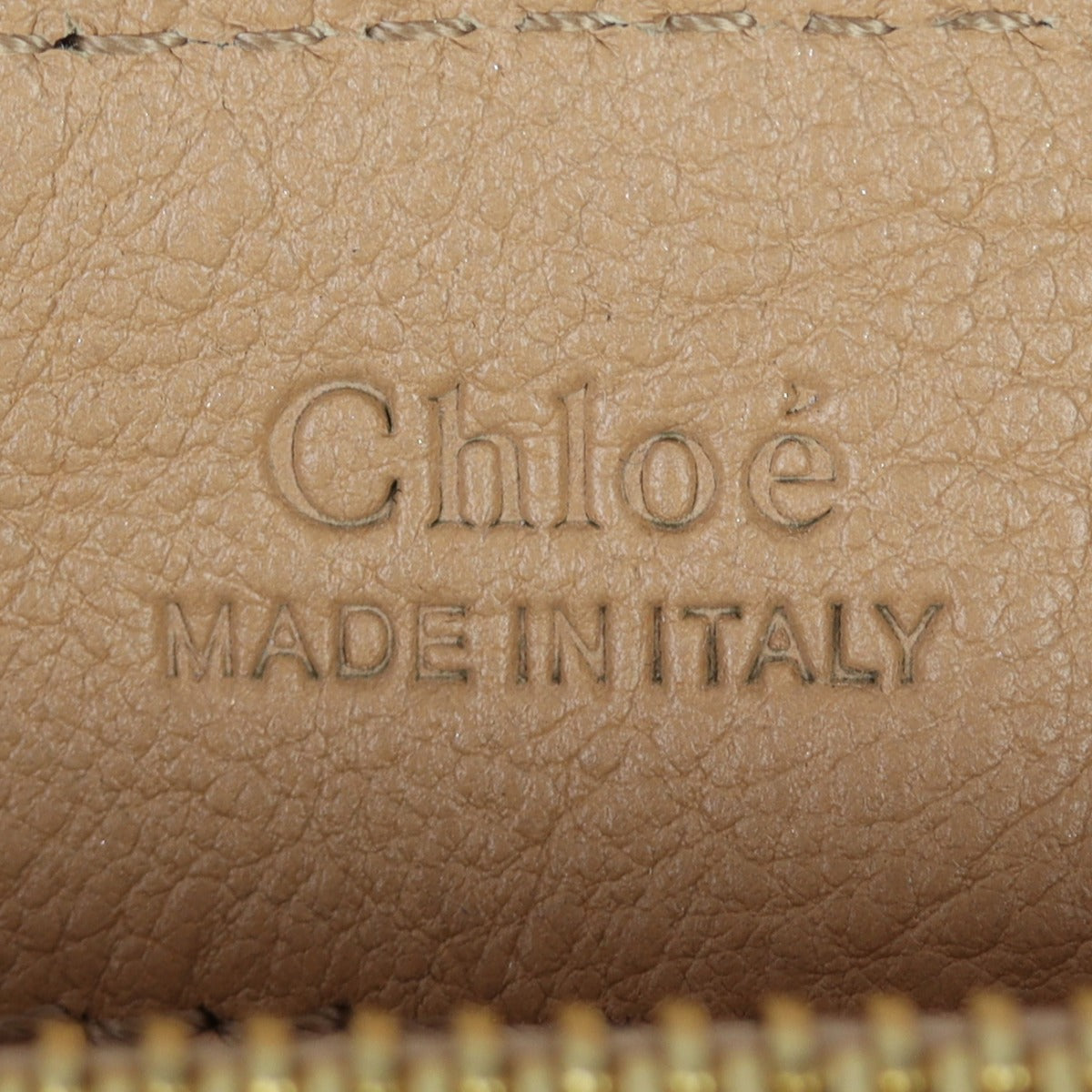 Chloe Faye Day Bag