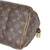 Louis Vuitton Speedy 30 Monogram