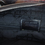 Dior Lady Dior Medium Printed Rose