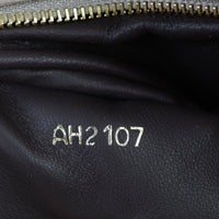 Louis Vuitton Capucines PM Python