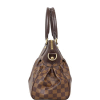 Louis Vuitton Trevi PM Damier Ebene