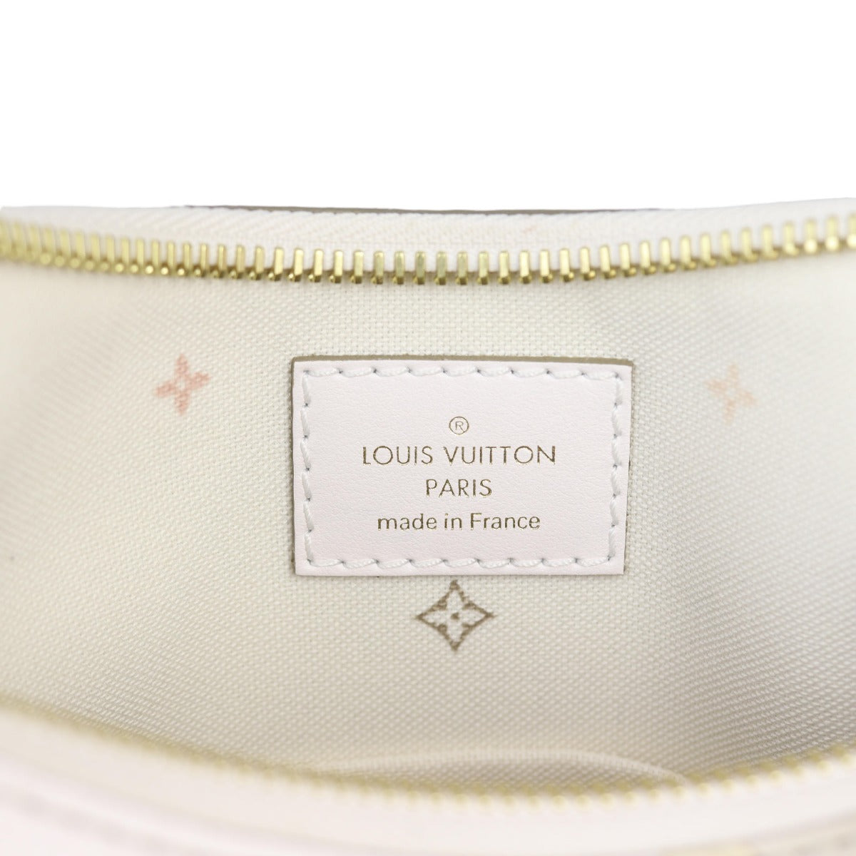 Louis Vuitton Marshmallow Hobo PM Giant Spring in the City Monogram Empreinte