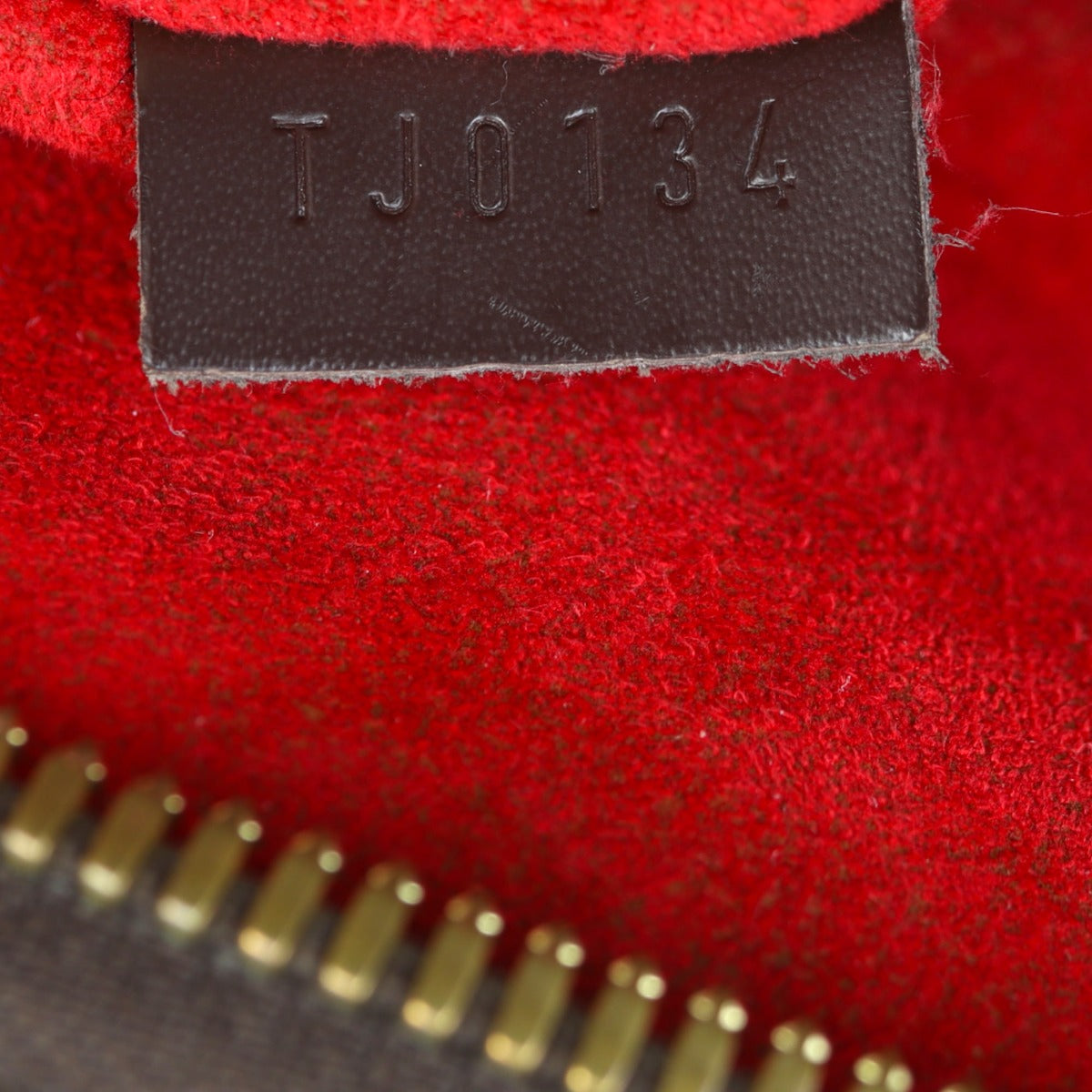 Louis Vuitton Trevi PM Damier Ebene