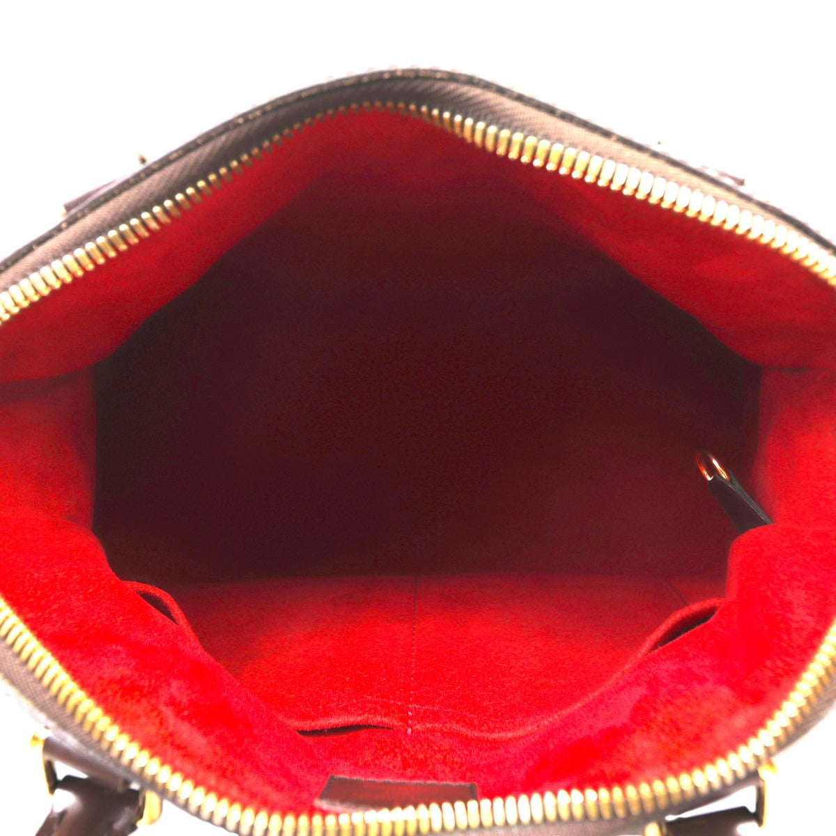 Louis Vuitton Trevi PM Damier Ebene