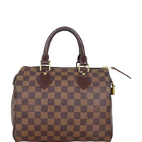 Louis Vuitton Speedy 25 Damier Ebene