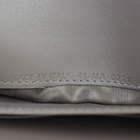 Dior Saddle Wallet on Chain