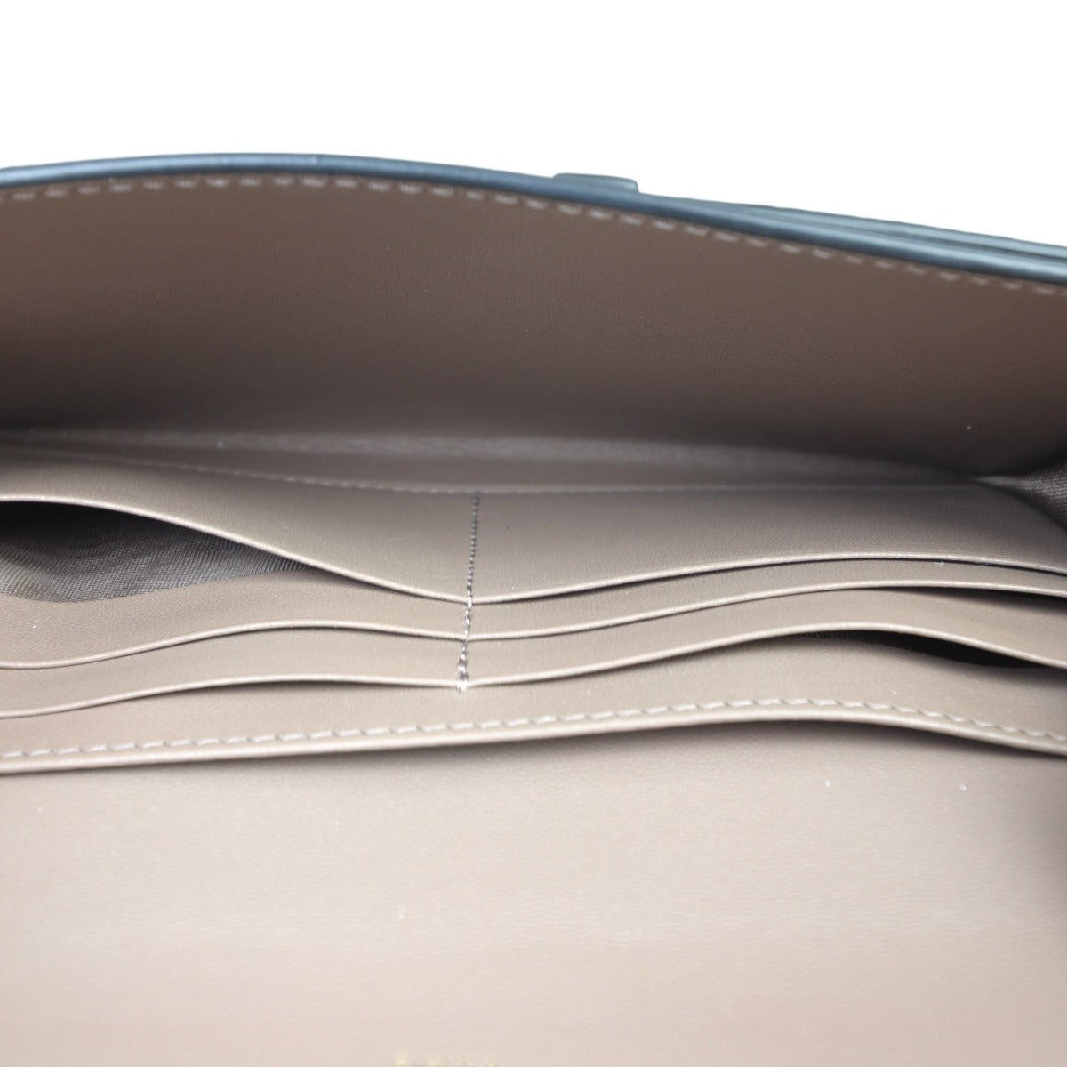 Dior Saddle Wallet on Chain