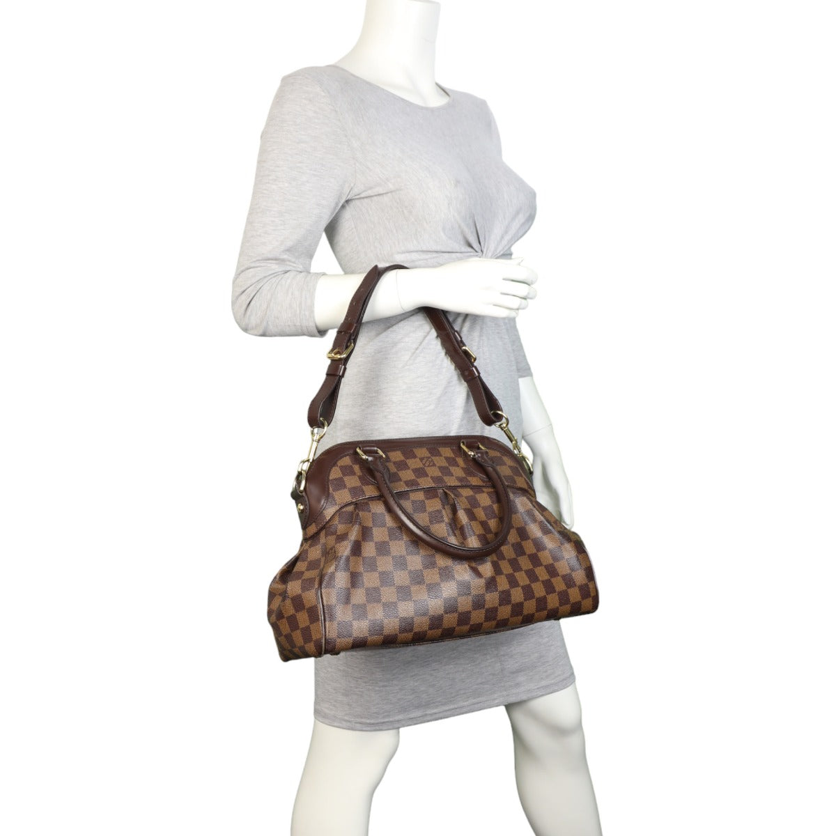 Louis Vuitton Trevi PM Damier Ebene