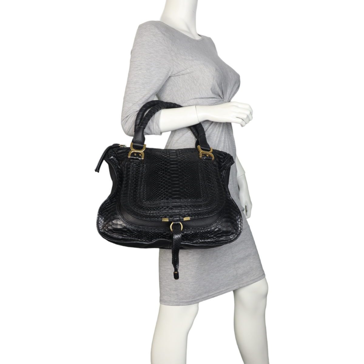 Chloe Marcie Satchel Python