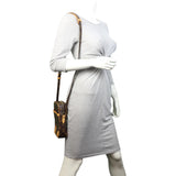 Louis Vuitton Danube Monogram