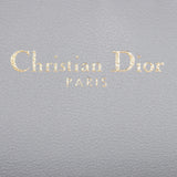 Dior Saddle Pouch Nano Interior Stamp