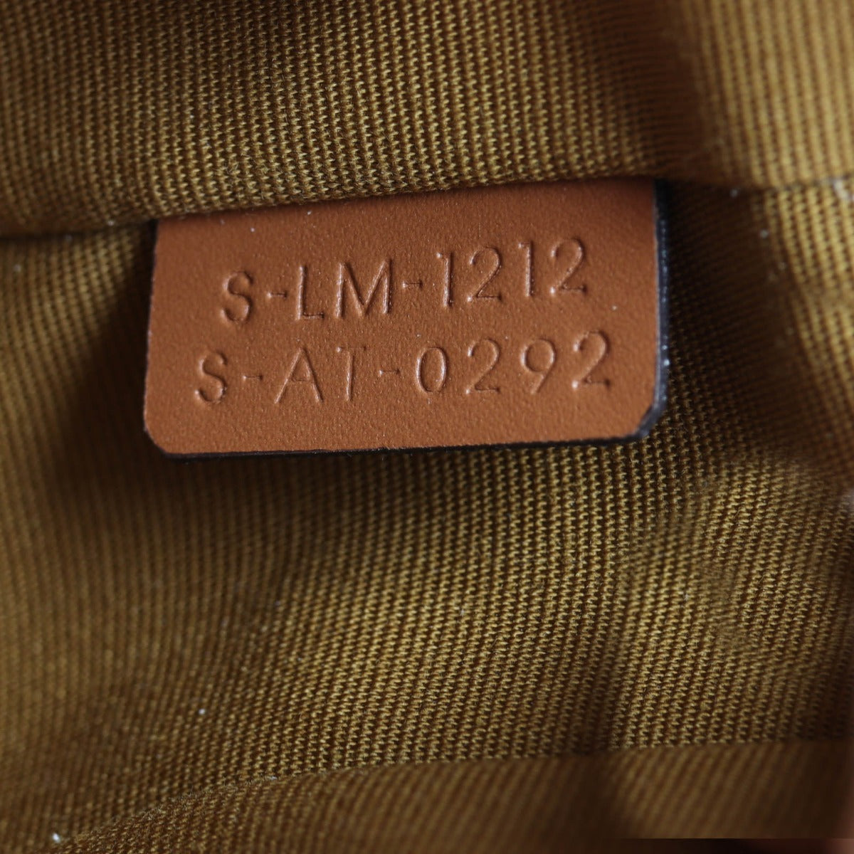 Celine Ava Triomphe Hobo