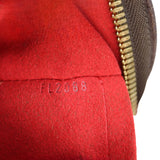 Louis Vuitton Trevi PM Damier Ebene