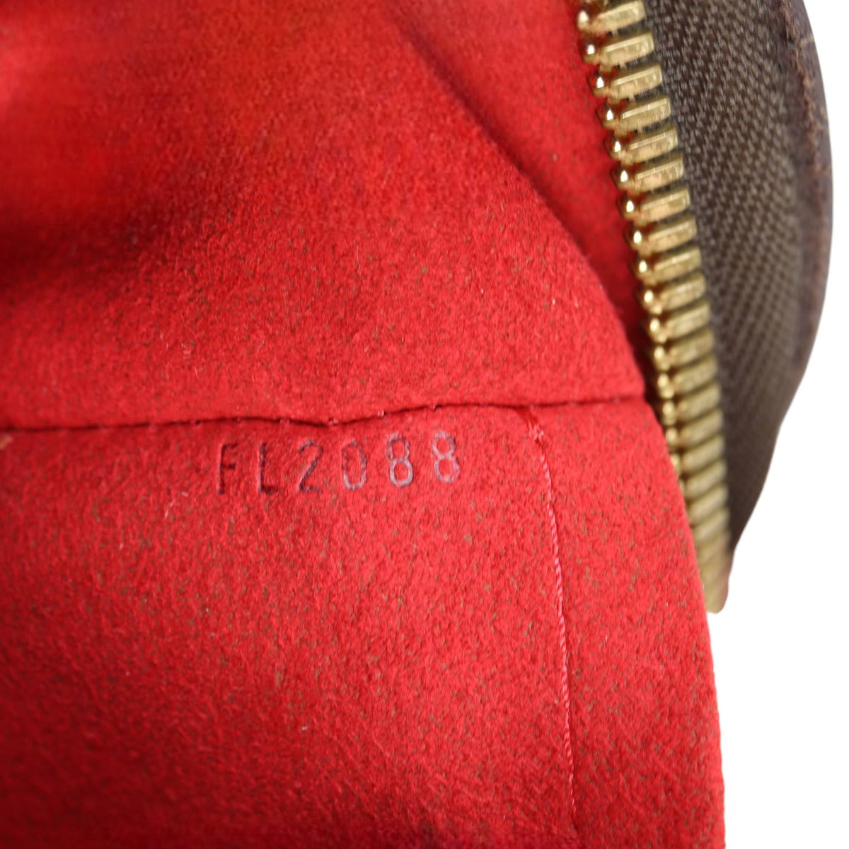 Louis Vuitton Trevi PM Damier Ebene