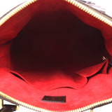 Louis Vuitton Trevi PM Damier Ebene