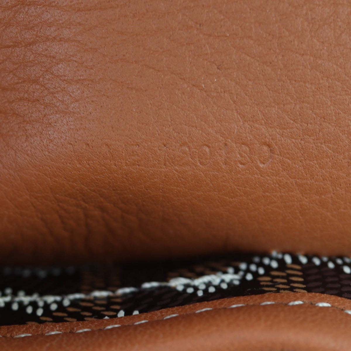 Goyard Alpin Mini Backpack  Date Code