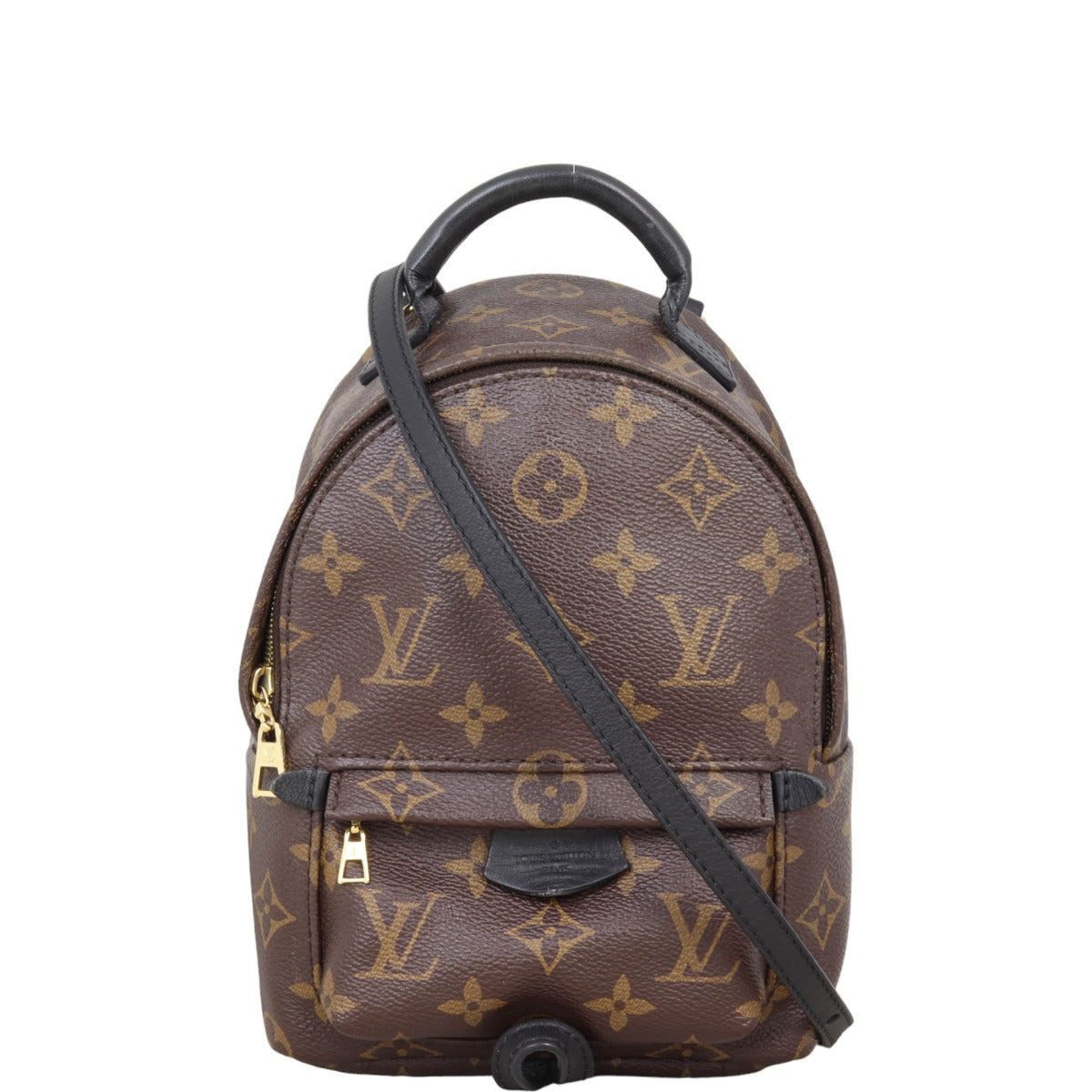 Louis Vuitton Palm Springs Mini Backpack Monogram
