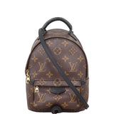 Louis Vuitton Palm Springs Mini Backpack Monogram