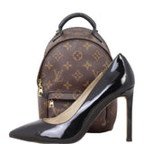 Louis Vuitton Palm Springs Mini Backpack Monogram