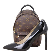Louis Vuitton Palm Springs Mini Backpack Monogram