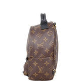 Louis Vuitton Palm Springs Mini Backpack Monogram