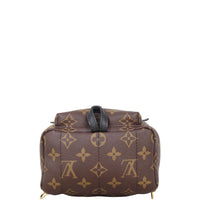 Louis Vuitton Palm Springs Mini Backpack Monogram