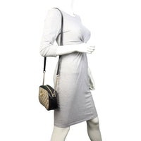 Gucci GG Canvas Marmont Diagonal Small Camera Bag