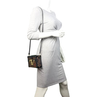 Louis Vuitton Petite Malle Monogram
