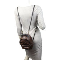 Louis Vuitton Palm Springs Mini Backpack Monogram