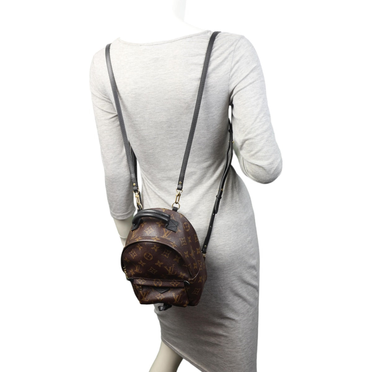 Louis Vuitton Palm Springs Mini Backpack Monogram