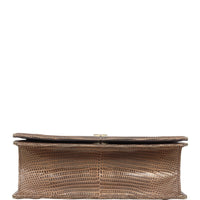 Dior Diorama Medium Lizard