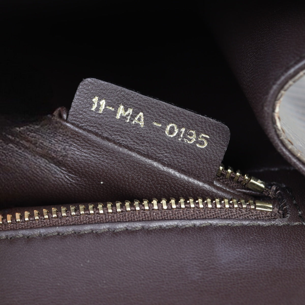 Dior Diorama Medium Lizard