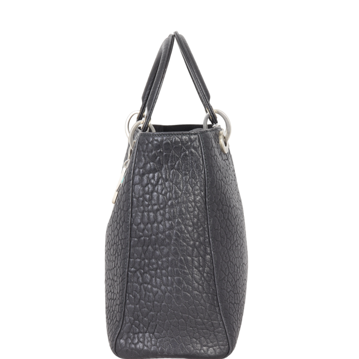 Dior Lady Dior Large Canyon Grained Lambskin