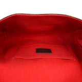 Louis Vuitton Favorite MM Damier Ebene