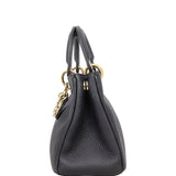 Dior Diorissimo Tote Mini