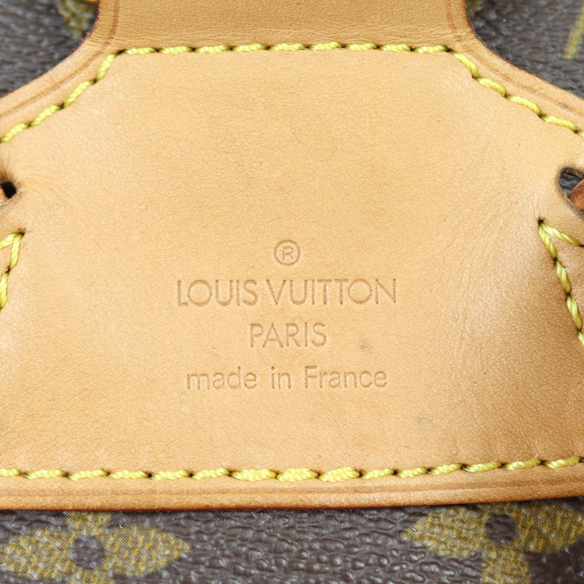 Louis Vuitton Montsouris PM Backpack Monogram