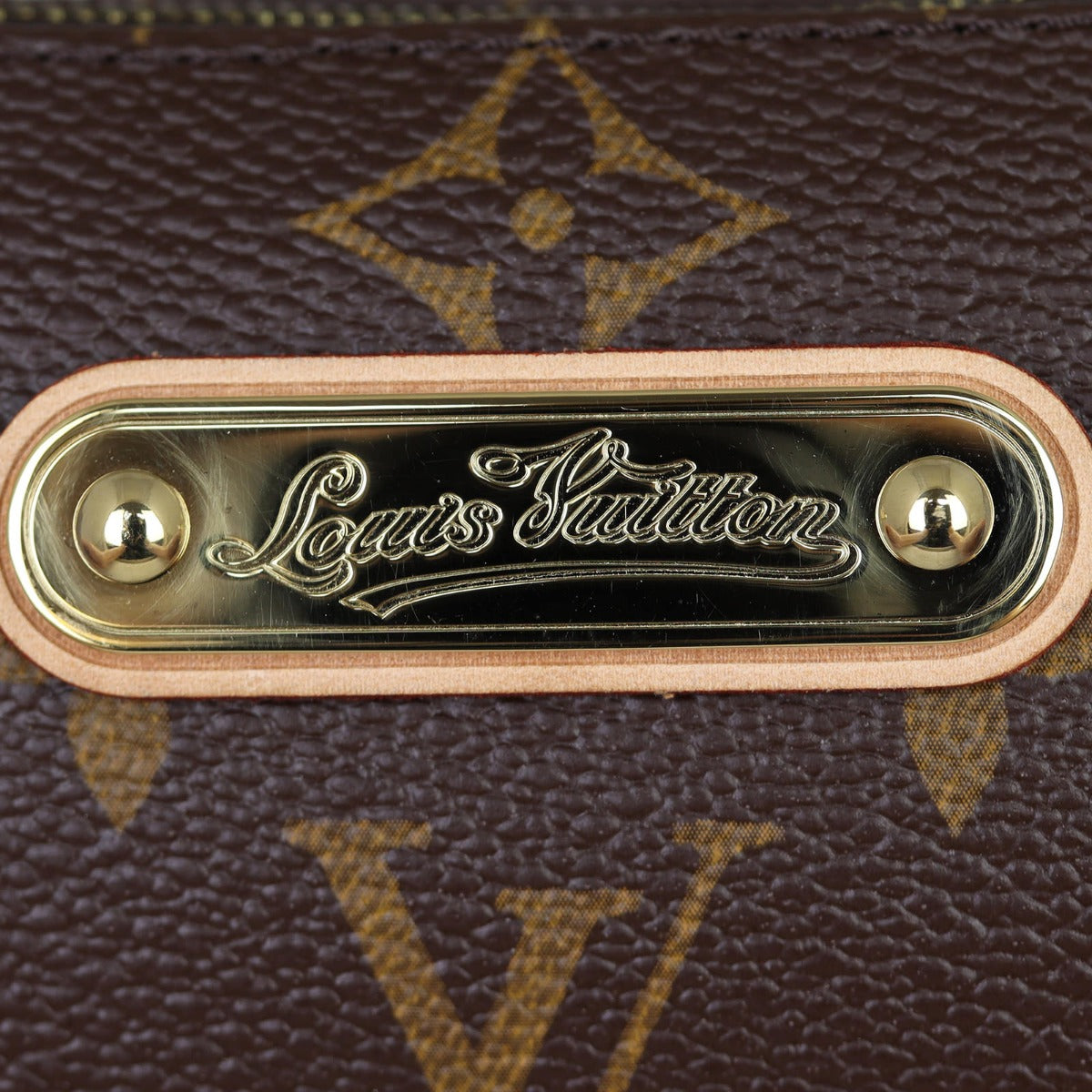 Louis Vuitton Eva Pochette Monogram Stamp
