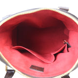 Louis Vuitton Trevi PM Damier Ebene