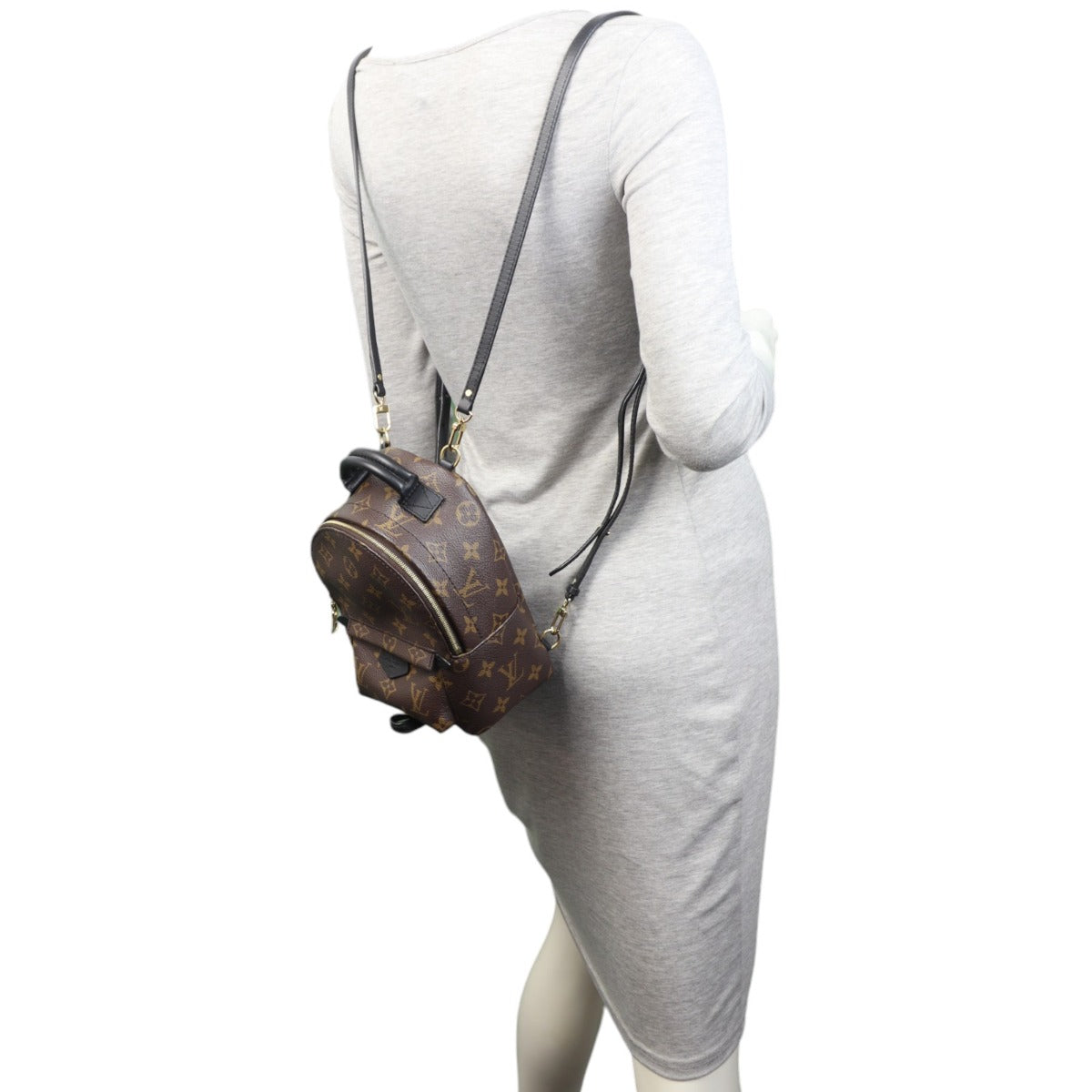 Louis Vuitton Palm Springs Mini Backpack Monogram