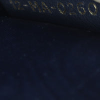 Dior Saddle Pouch Wallet on Chain Oblique