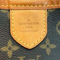 Louis Vuitton Delightful PM Monogram
