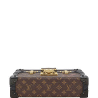 Louis Vuitton Petite Malle Monogram