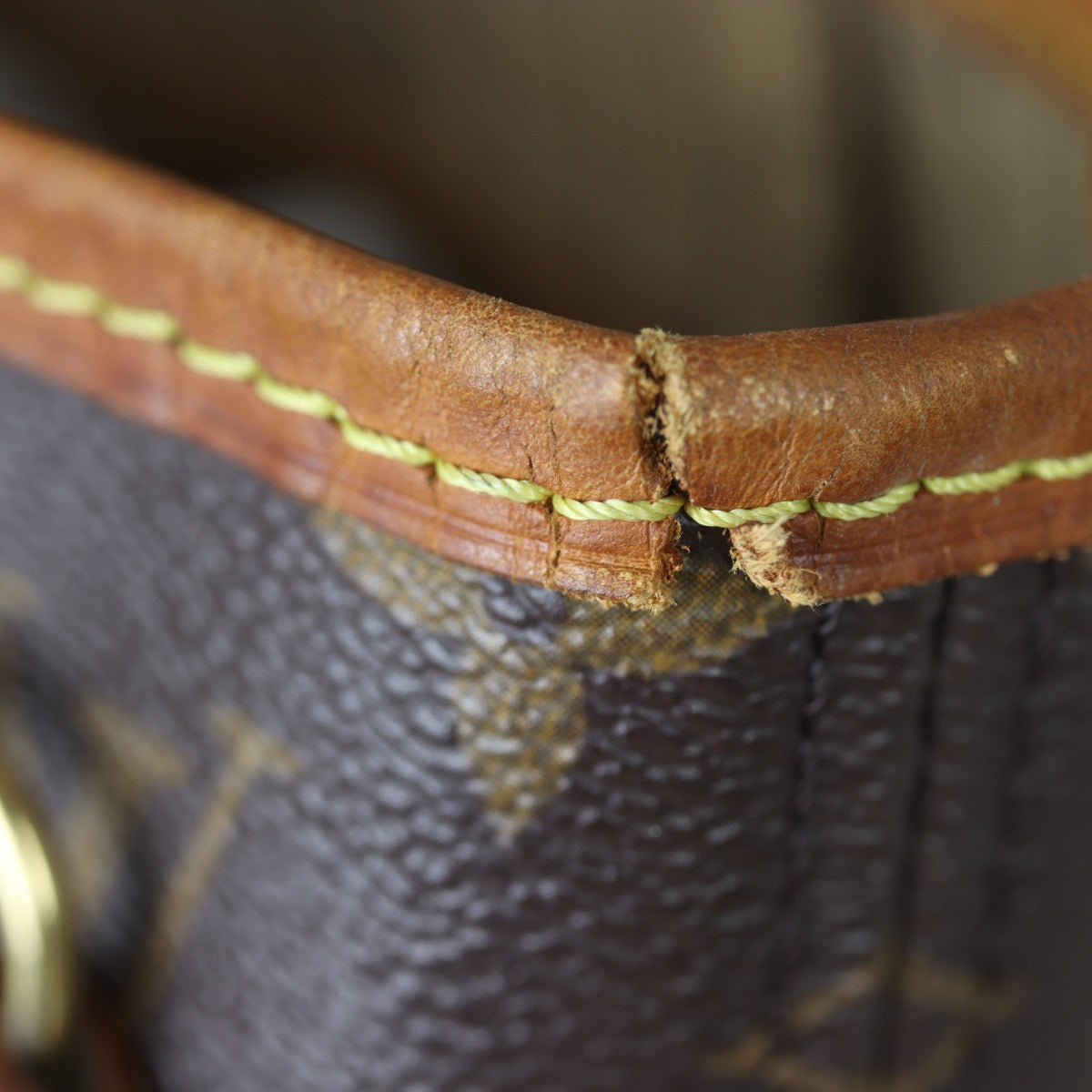 Louis Vuitton Neverfull PM Monogram Wear