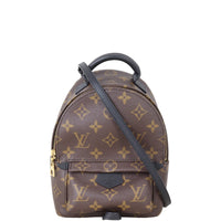 Louis Vuitton Palm Springs Mini Backpack Monogram