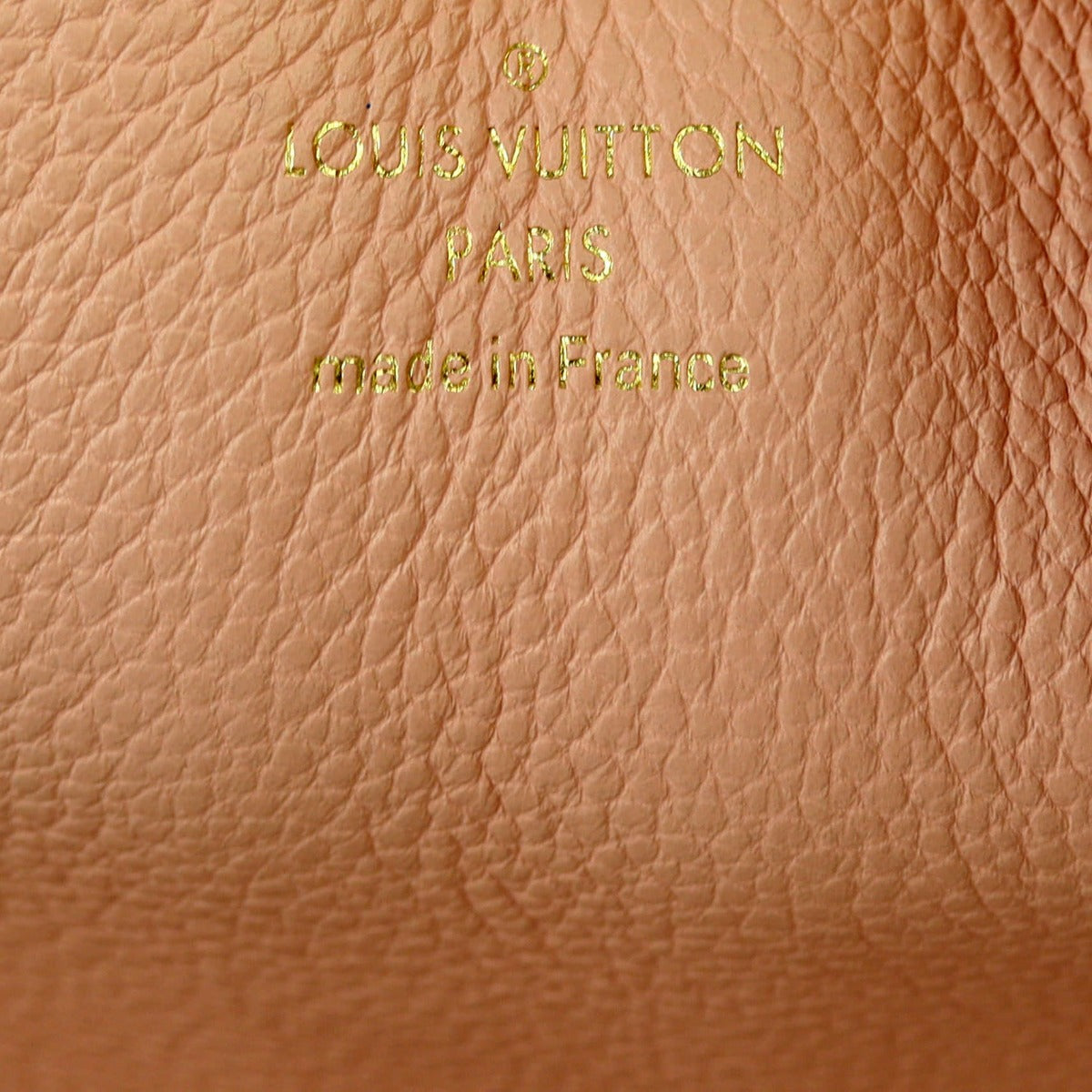 Louis Vuitton Clapton Backpack Damier Ebene