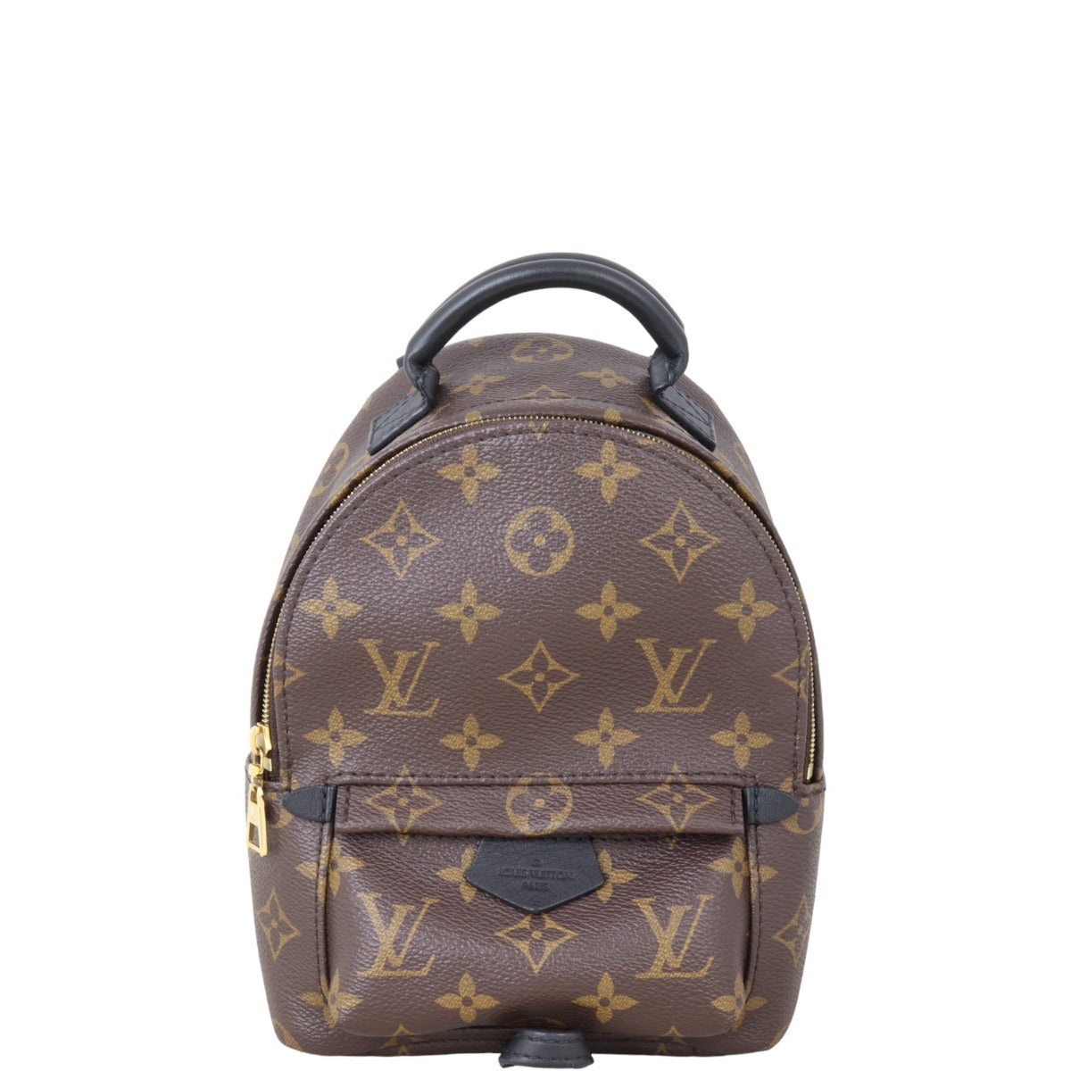 Louis Vuitton Palm Springs Mini Backpack Monogram